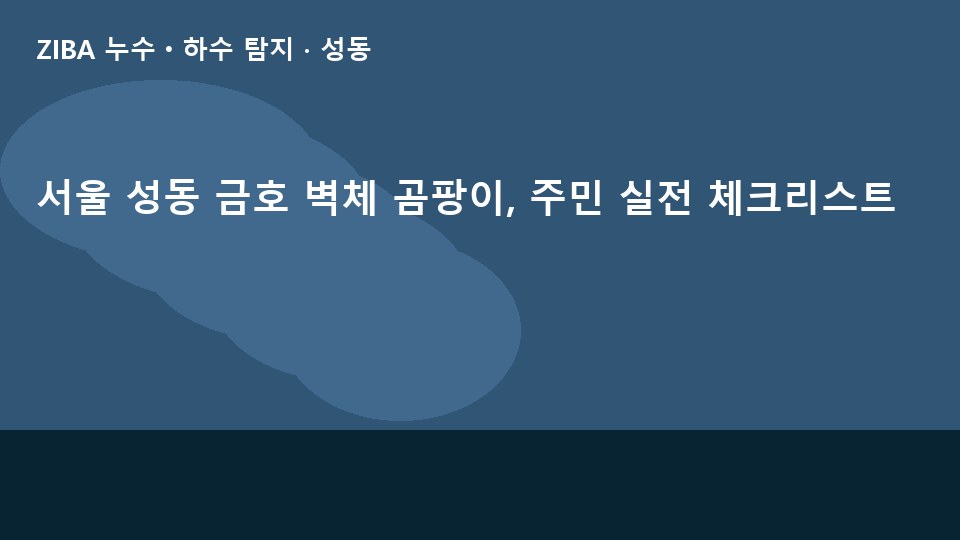 서울 성동 금호 벽체 곰팡이, 주민 실전 체크리스트