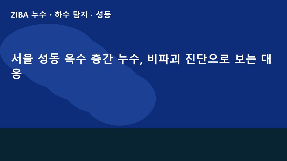 서울 성동 옥수 층간 누수, 비파괴 진단으로 보는 대응