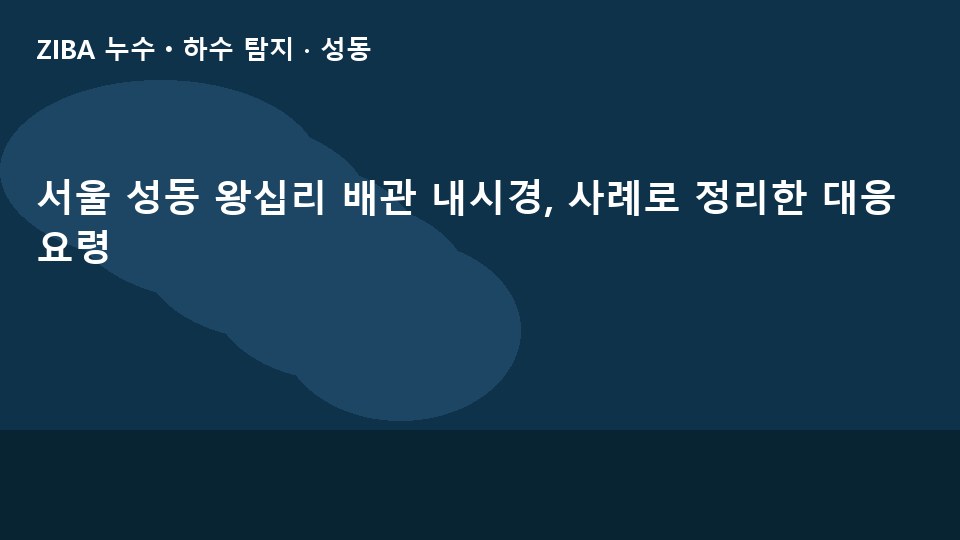 서울 성동 왕십리 배관 내시경, 사례로 정리한 대응 요령
