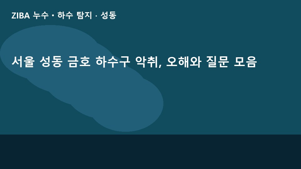서울 성동 금호 하수구 악취, 오해와 질문 모음