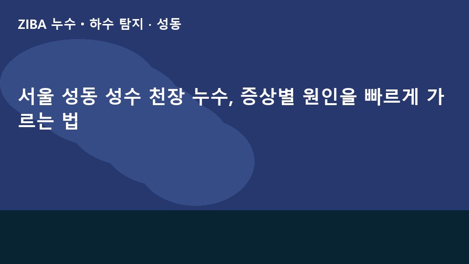 서울 성동 성수 천장 누수, 증상별 원인을 빠르게 가르는 법