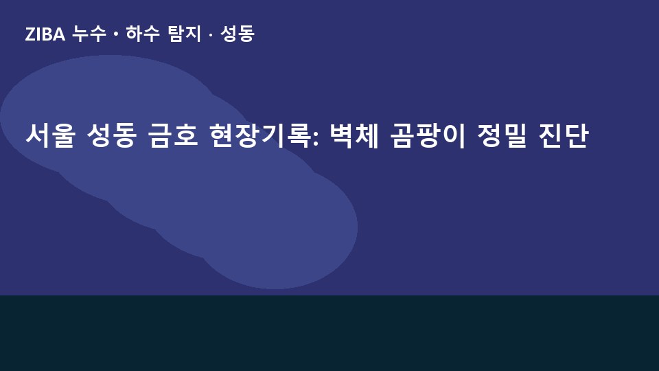 서울 성동 금호 현장기록: 벽체 곰팡이 정밀 진단