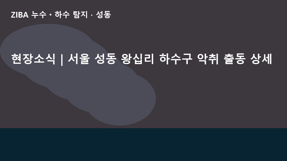 현장소식 | 서울 성동 왕십리 하수구 악취 출동 상세