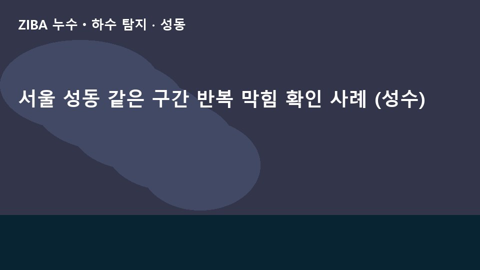 서울 성동 같은 구간 반복 막힘 확인 사례 (성수)